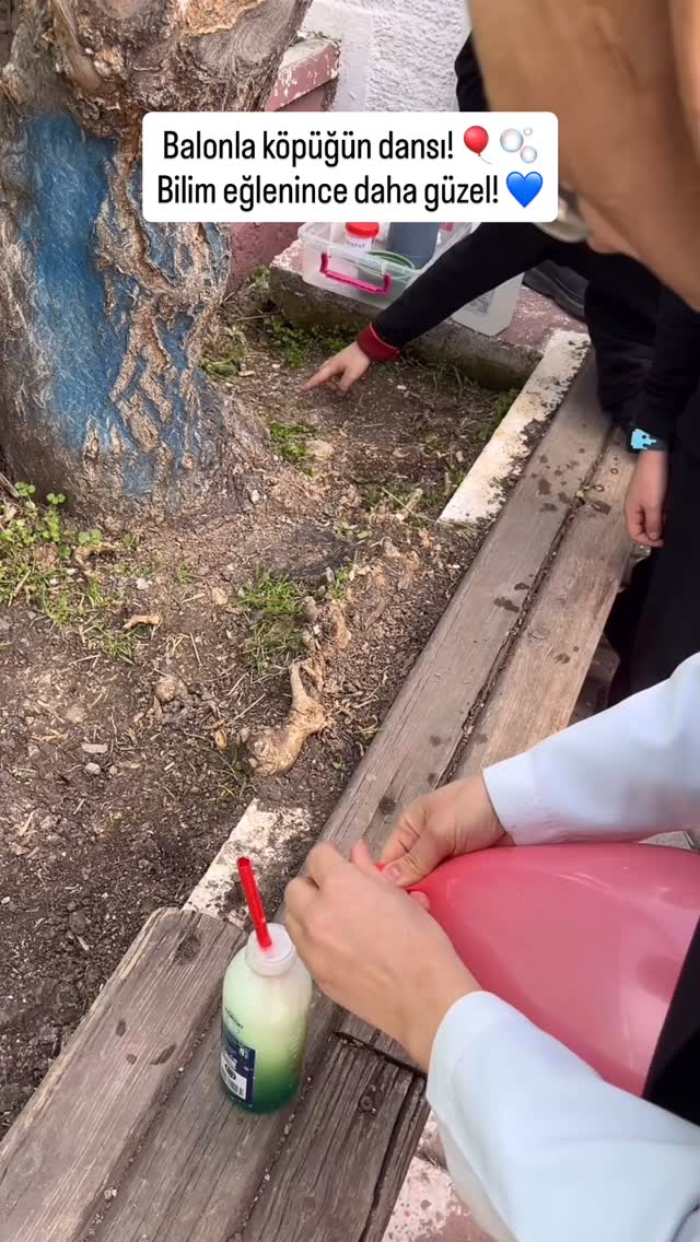 Bugün balon ve köpükle harika bir deney yaptık 🎈🫧
Hem şaşırdık hem öğrendik! Bilim böyle eğlenceli olmalı 💙
#okulhayatı #deney #çocuklarlabilim#mutluçocuklar #köpükdansı